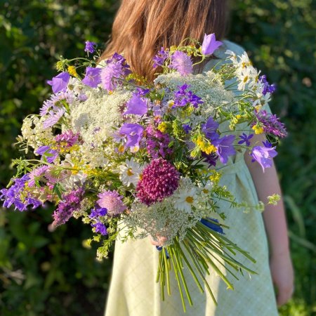 Полевой букет