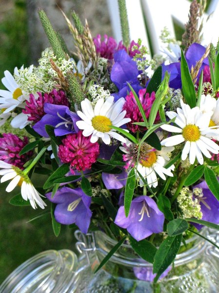 Букет полевых цветов домашних