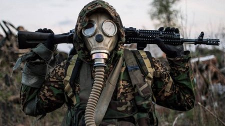 Сталкер свобода косплей