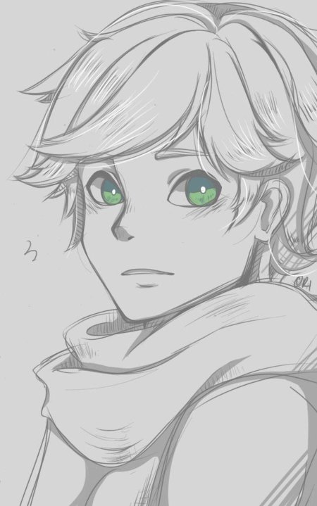 Раскраски легкий самый красивый ледибаг и супер кот