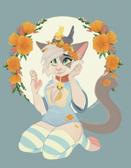 Персонажи фурри