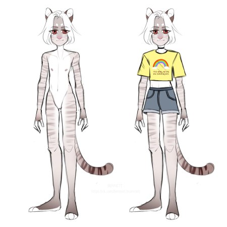 Кошка референс персонажа