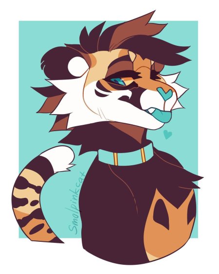 Персонажи фурри