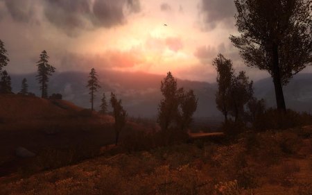 Сталкер зов припяти пейзажи