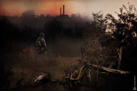 Сталкер арты затон