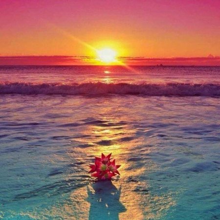 Море солнце