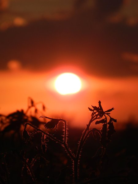 Закат солнца