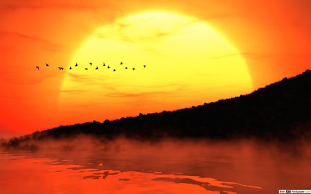 Желтый закат