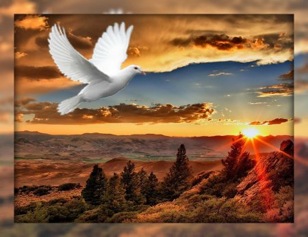 Красивые рассветы