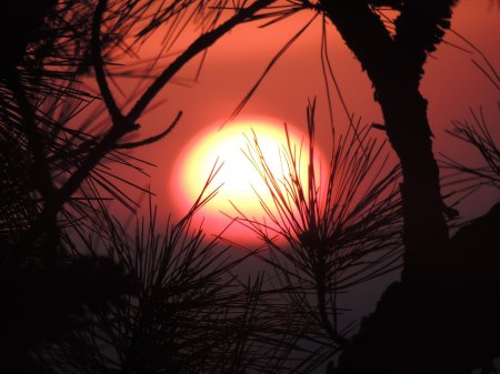 Восход закат солнца