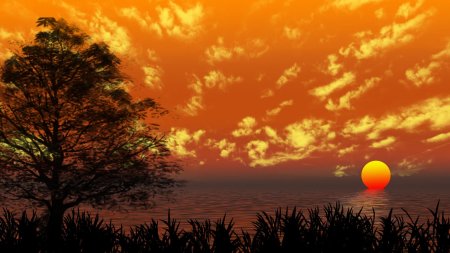 Желтый закат