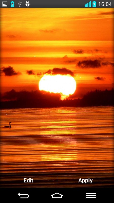 Пейзаж закат