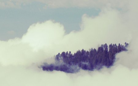 Атмосферные облака туман