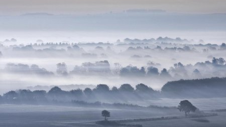 Туманные пейзажи