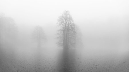 Мрачные пейзажи