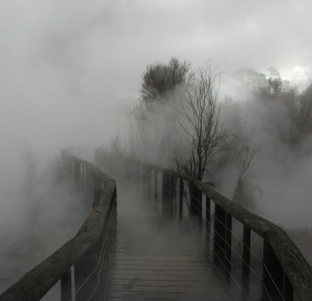 Густой туман на улице