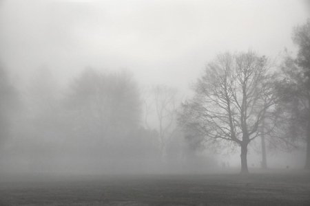 Туман войны