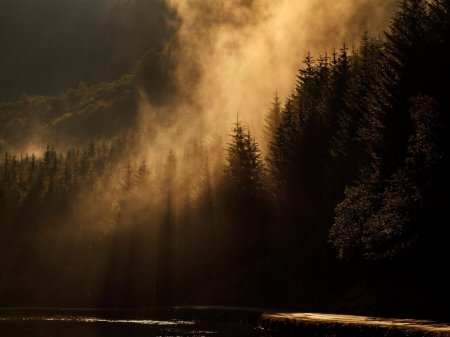 Тёмный пейзаж