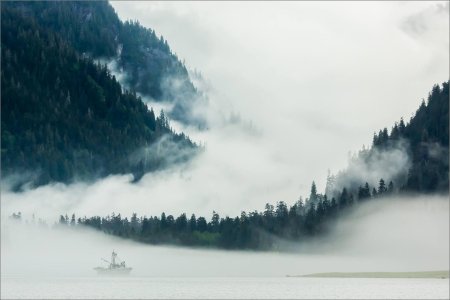 Норвегия горы лес туман к