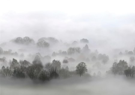 Пейзаж с туманом