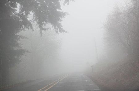 Туман на дороге
