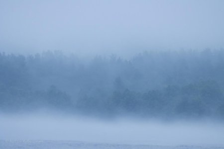 Густой туман