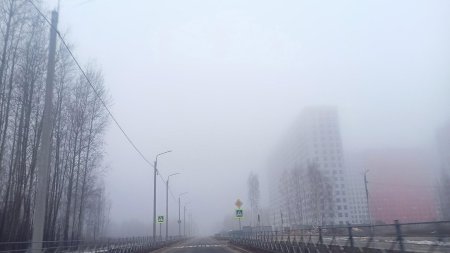 Город в тумане