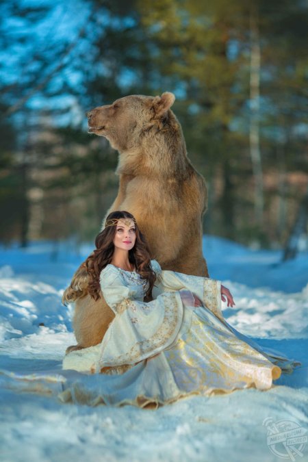 Медведь степан