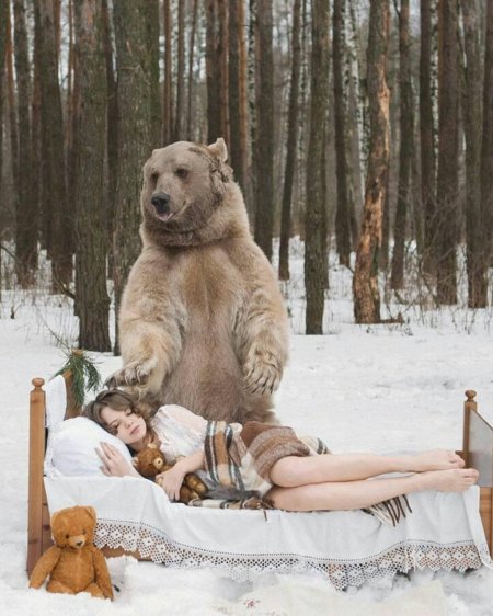 Медведь степан фотосессия