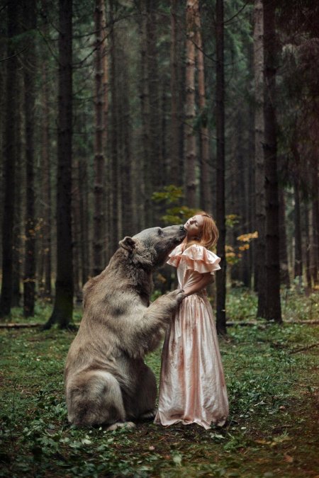 Медведь степан