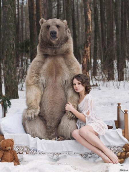 Фотосессия медведь степан мария фетисова