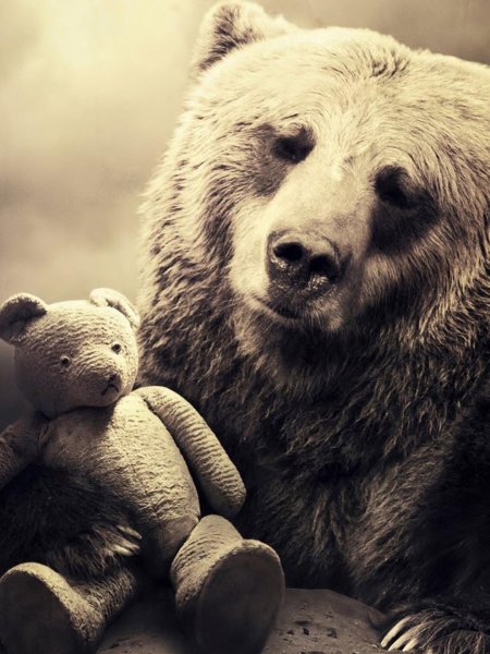 Медведь грустный