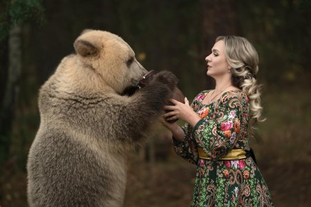 Медведь степан шапша