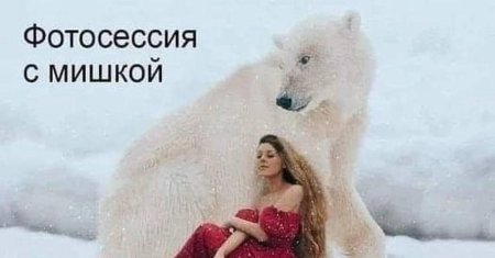 Белая медведь