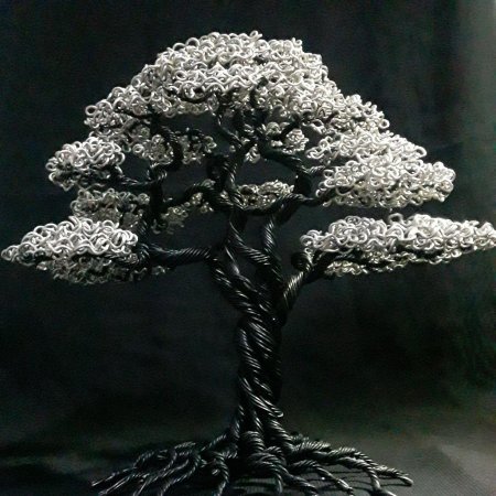 Bonsai tree