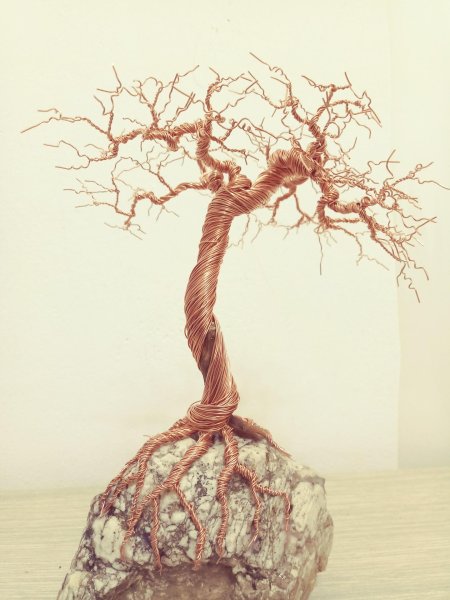 Деревья пинтерест