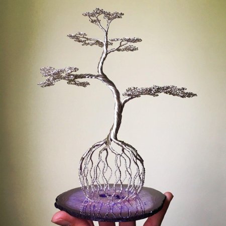 Дерево бонсай