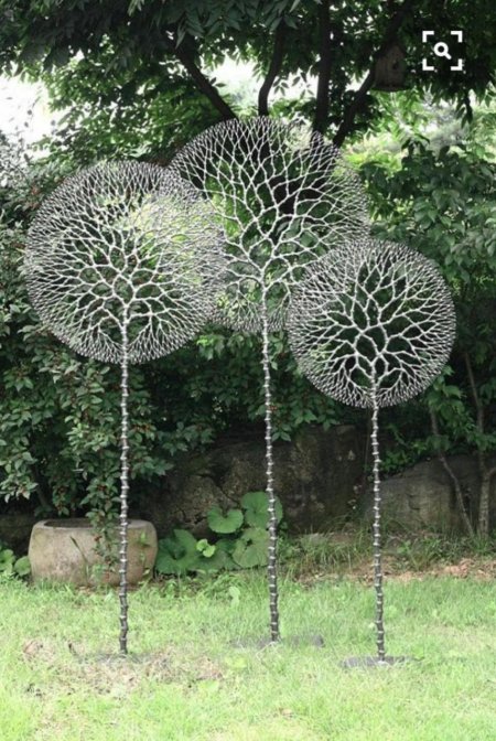 Декоративное дерево для сада