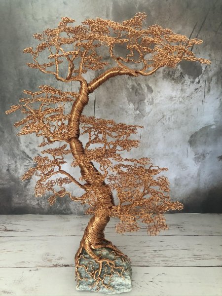 Бонсай дерево