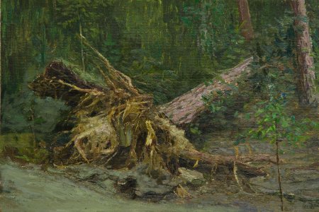 Шишкин бурелом