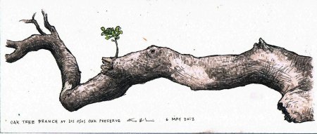 Дерево зарисовка