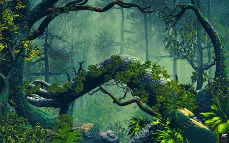 Джунгли арт