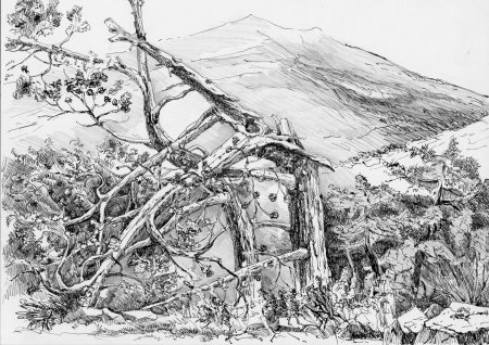 Рисунок тушью пейзаж