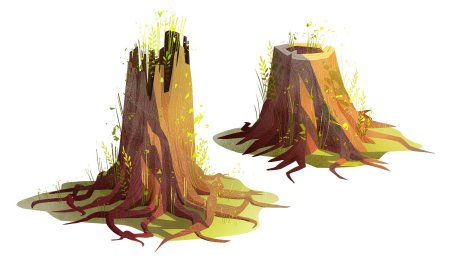 Пень на прозрачном фоне