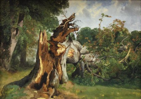 Картина шишкина дубы