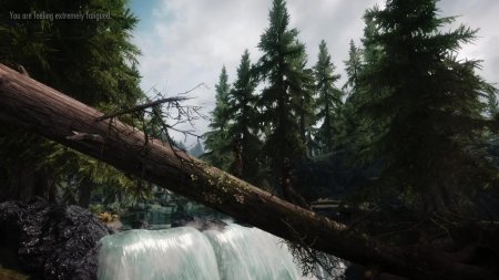 The elder scrolls : skyrim лес