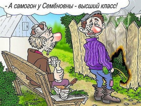 Смешные карикатуры с надписями
