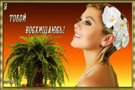 Восхищаюсь! открытка.