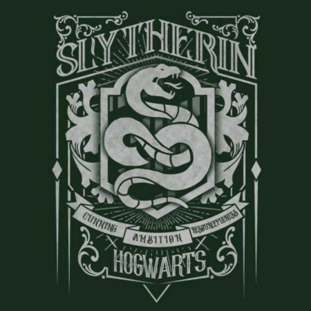 Harry potter slytherin