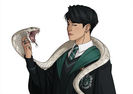 Чимин слизерин